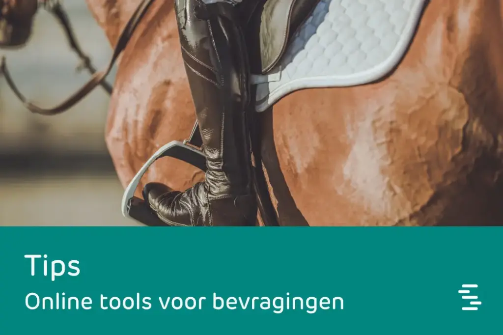Online tools voor bevragingen